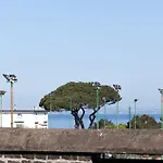 센트럴 플랫